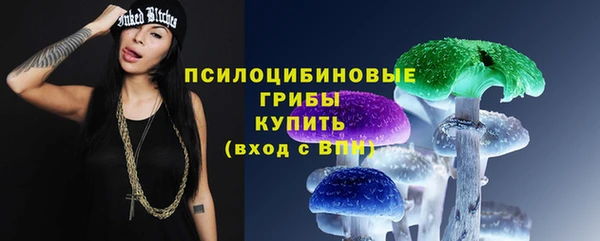 скорость Заводоуковск