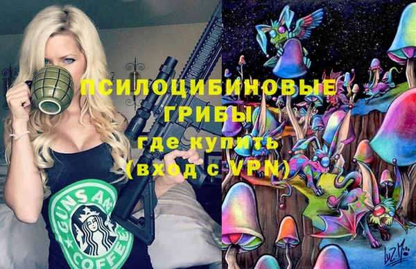 скорость Заводоуковск